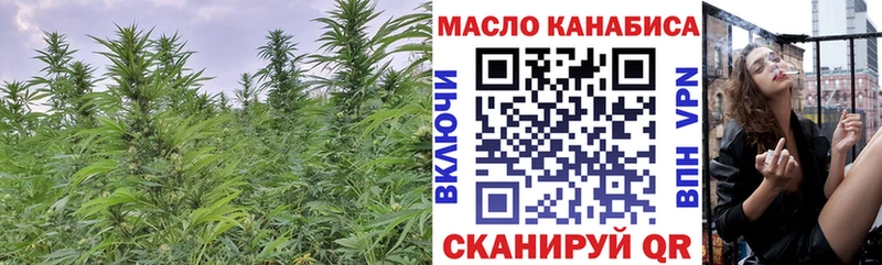 ТГК вейп  Купить  Оса 