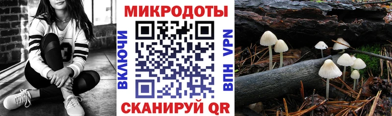 Псилоцибиновые грибы мицелий  Купить  Оса 